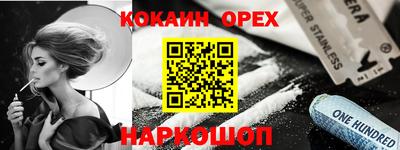 МДПВ Кингисепп