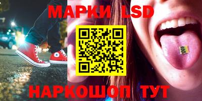 МДПВ Кингисепп